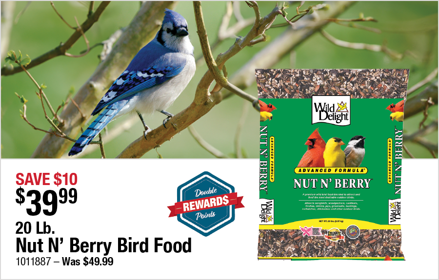 20 Lb. Nut N' Berry Bird Food
